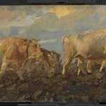 Oxen Plowing