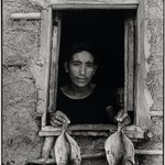 Cuatro pescaditos (Four Fishes), Juchitán, Oaxaca