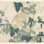 Morning Glories and Tree Frog, from an untitled series known as Large Flowers