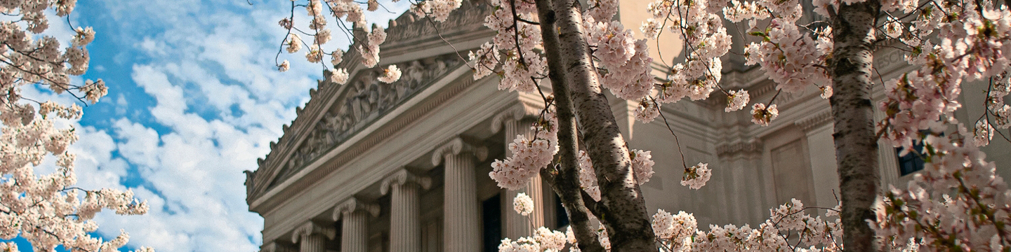Brooklyn Museum facade with cherry blossoms